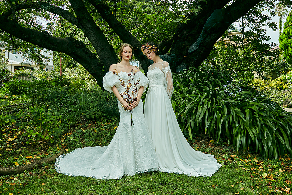 ドレス　イメージ