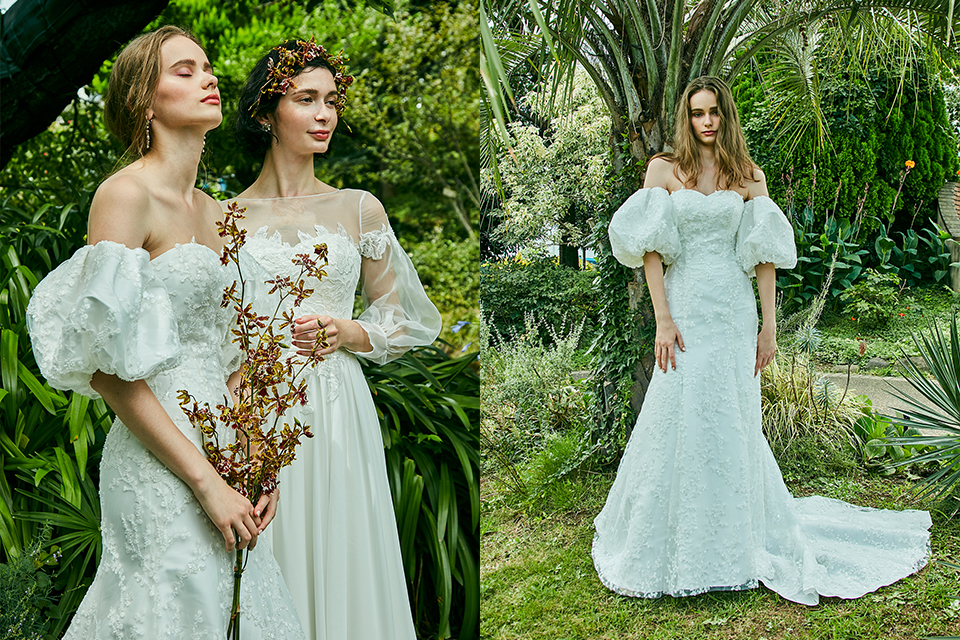 ドレス　イメージ