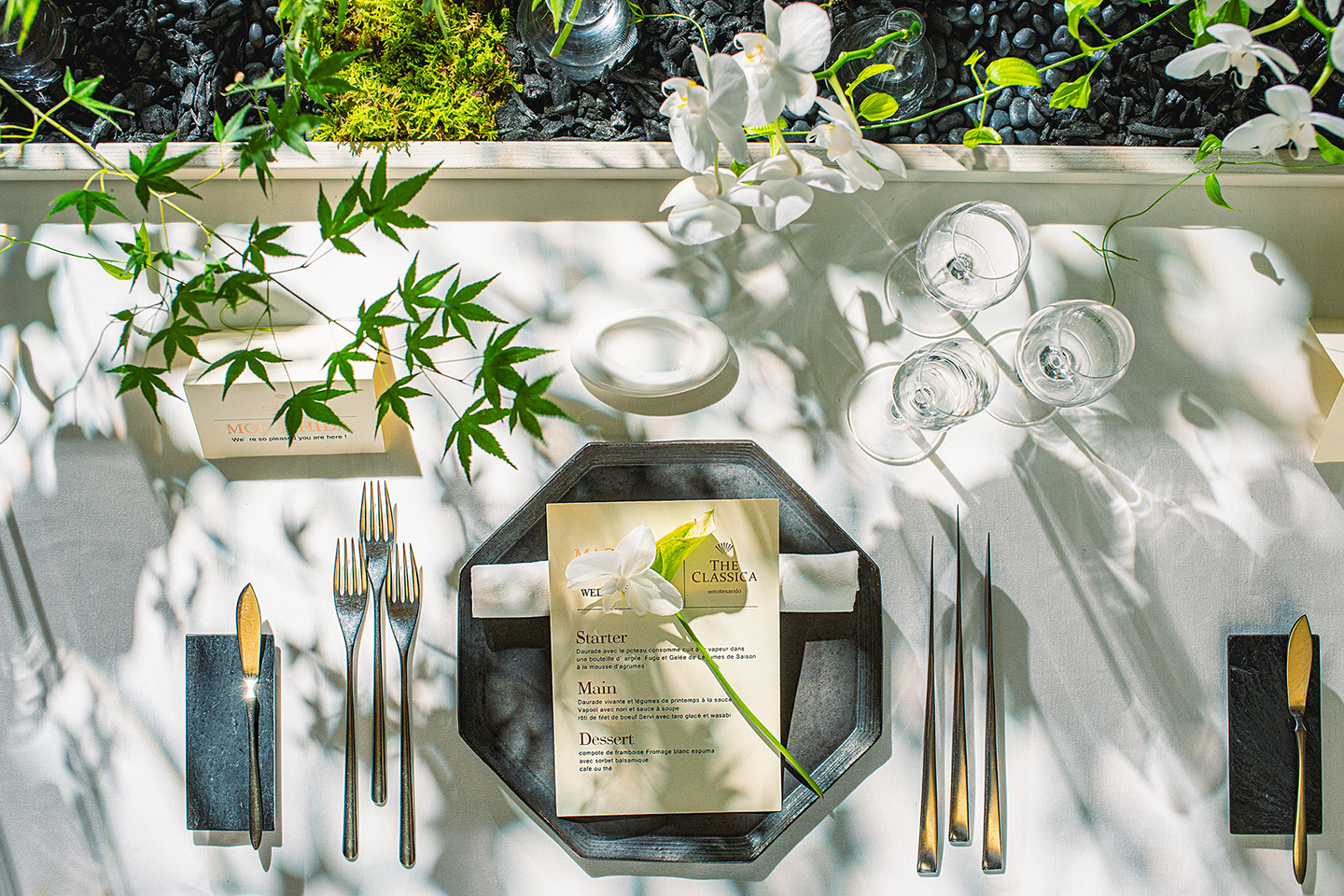 コーディネート　イメージ