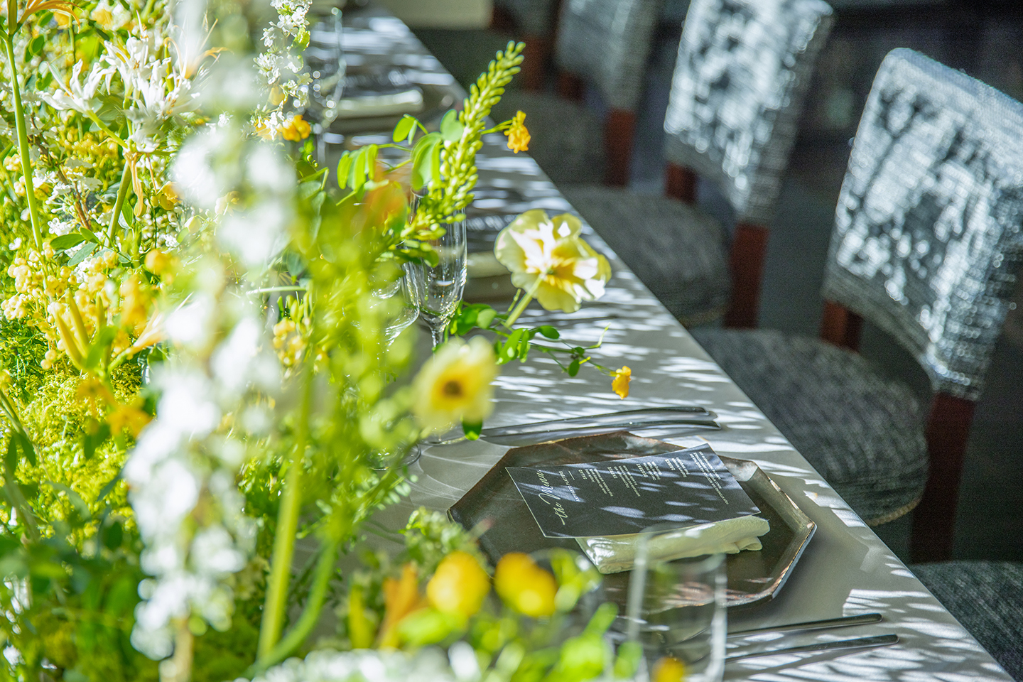 コーディネート　イメージ