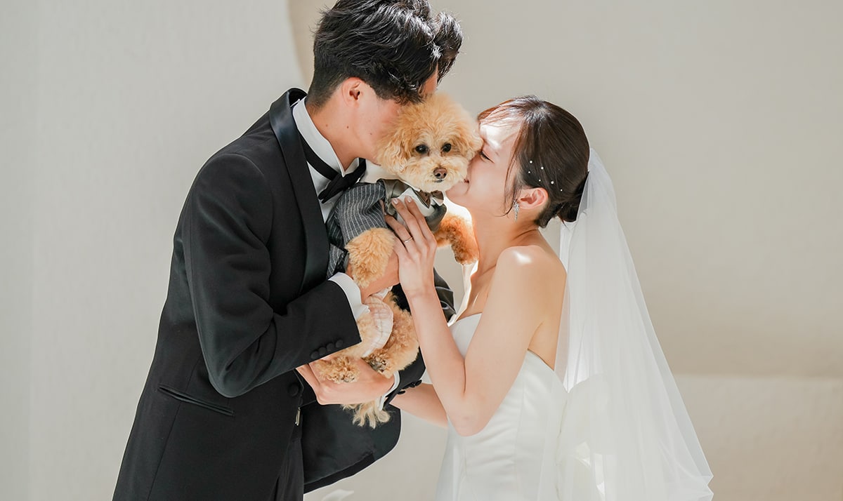 愛犬とともに紡ぐ、祝福に包まれた一日