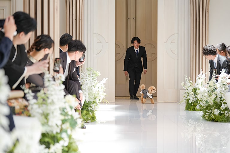 愛犬とともに紡ぐ、祝福に包まれた一日 イメージ