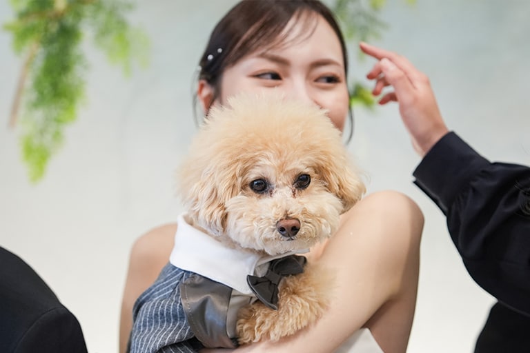愛犬とともに紡ぐ、祝福に包まれた一日 イメージ