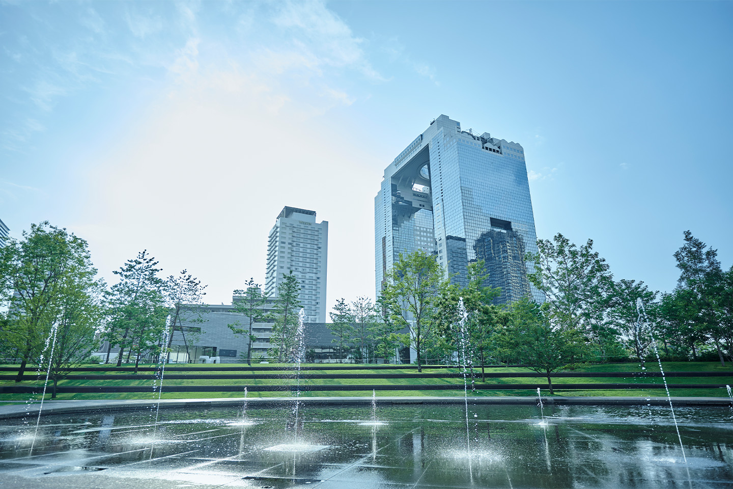 スケジュール　イメージ