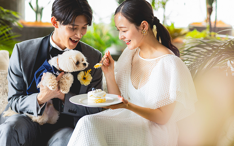 ザ クラシカ ベイリゾート