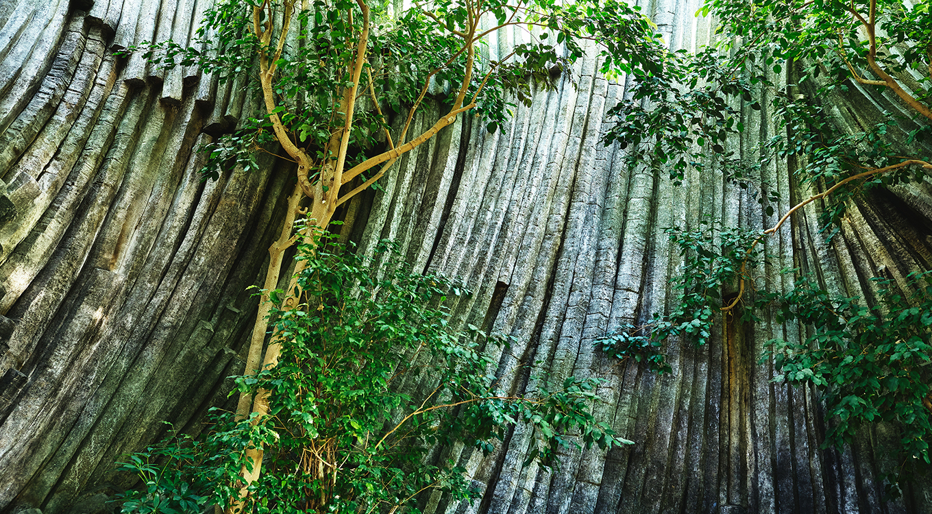 コンセプト　イメージ