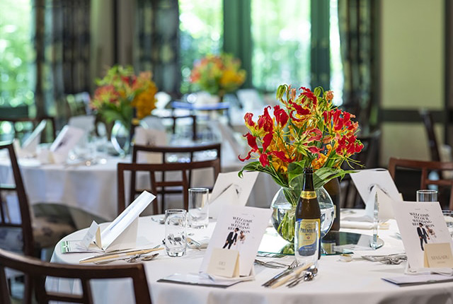 緑と陽光に包まれた洗練空間。ゲストと愉しむクラシカルウエディング　イメージ