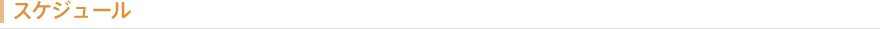 スケジュール