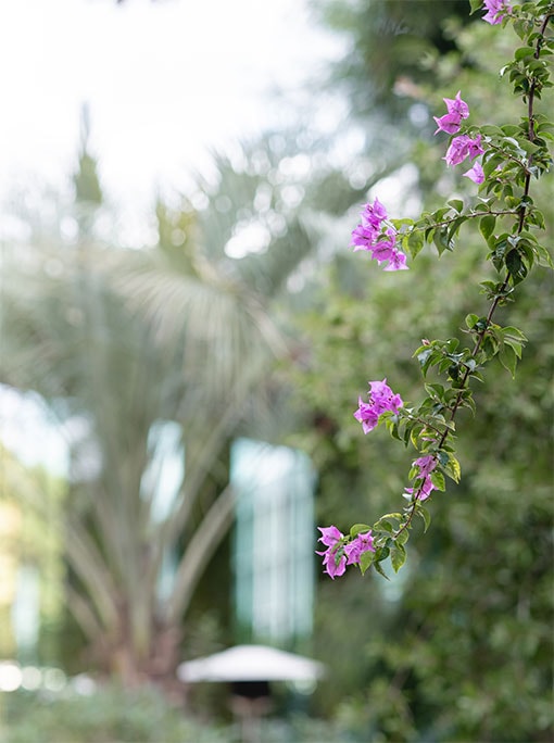 陽光と緑に包まれた上質空間で過ごす、みなとみらいの大人のガーデンパーティ　レポート