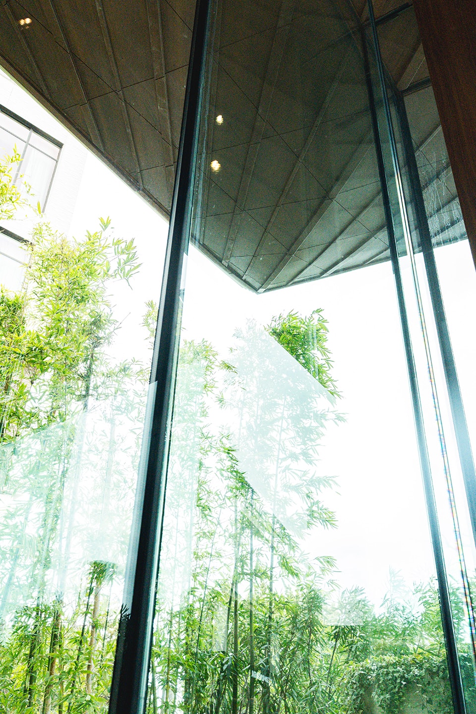 ウィリアムモリスの壁紙