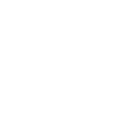 Little Tree Photo Studio