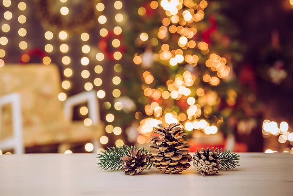 クリスマス限定DIYスペースをご用意