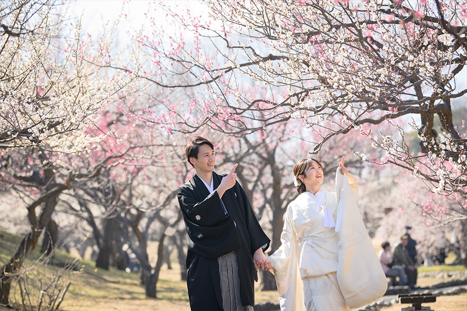 ロケーションイメージ