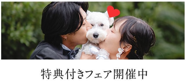 ウエディングフェアボタン