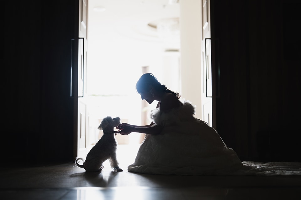 ロケーションイメージ