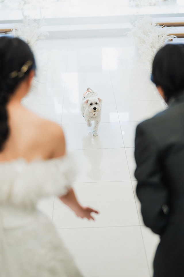 ロケーションイメージ