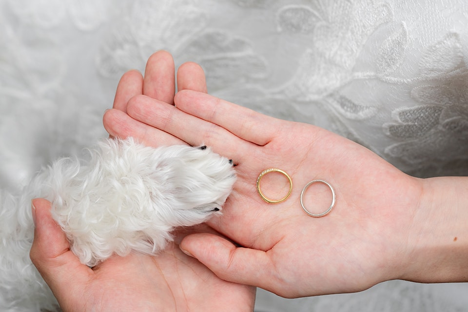 ロケーションイメージ