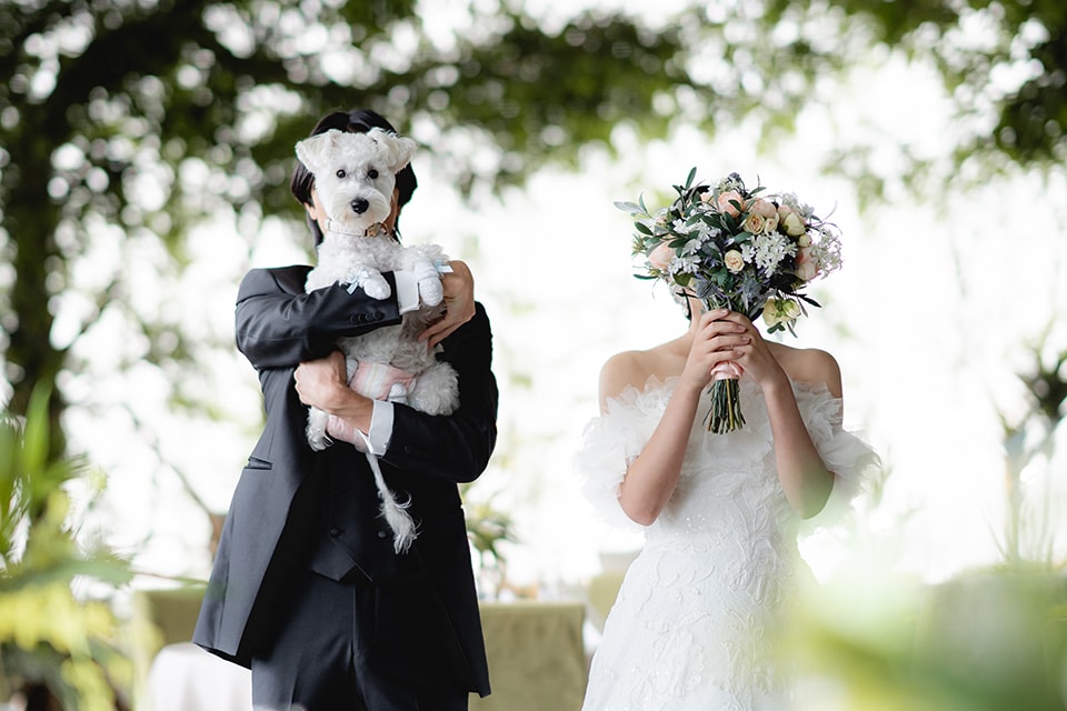 ロケーションイメージ