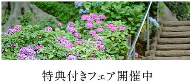 ウエディングフェアボタン