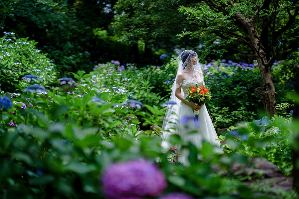 ロケーションイメージ