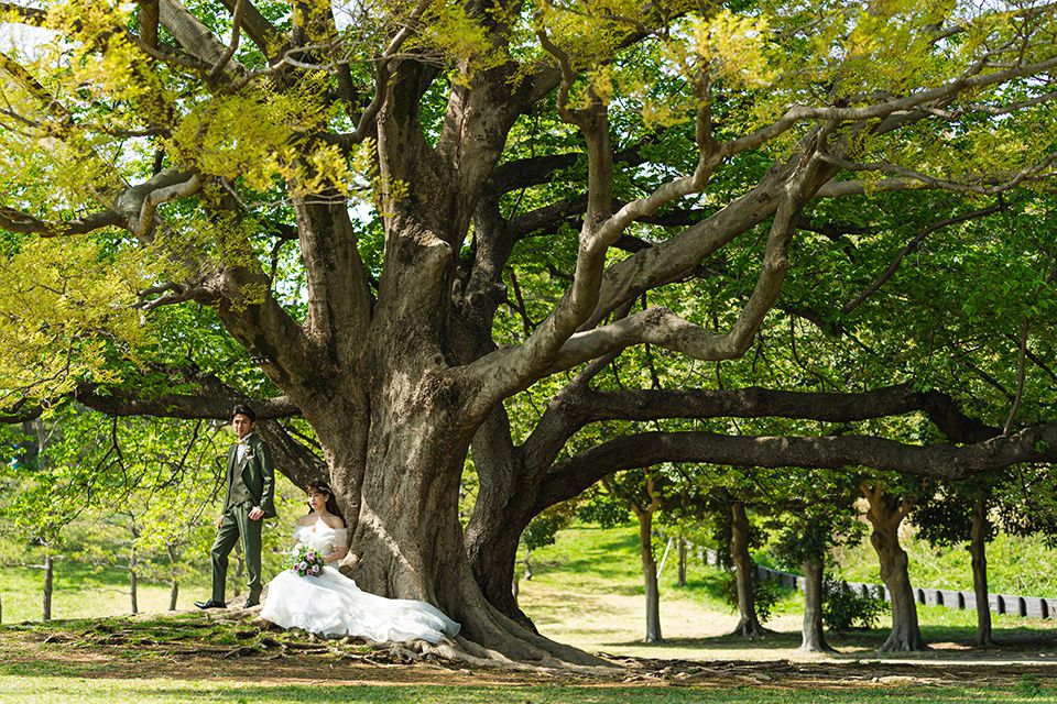 根岸森林公園　イメージ