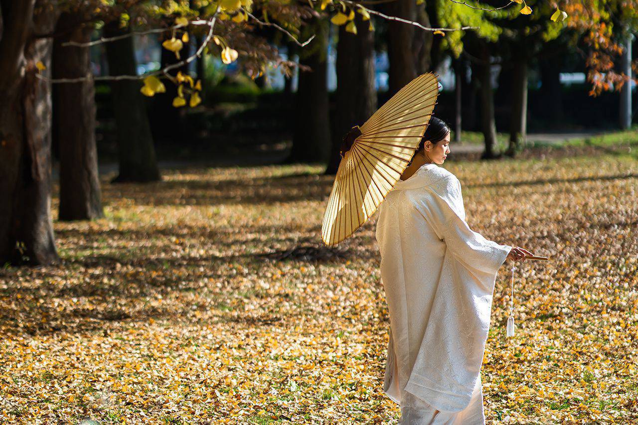 砧公園 イメージ