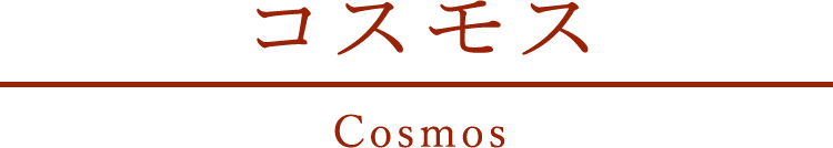 コスモス