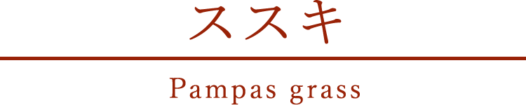 ススキ